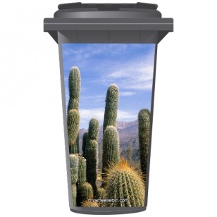 Cactus In A Desert Wheelie Bin Sticker Panel